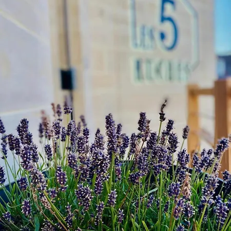 Restaurant La Pecherie - Le Manoir D'a Cote - Les 5 Ruches -logis 3* Courseulles-sur-Mer