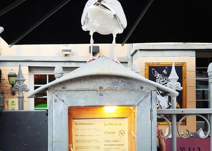 Restaurant La Pecherie - Le Manoir D'a Cote - Les 5 Ruches -logis 3*