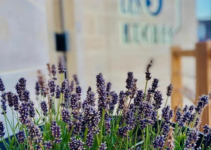 Restaurant La Pecherie - Le Manoir D'a Cote - Les 5 Ruches -logis 3* Courseulles-sur-Mer